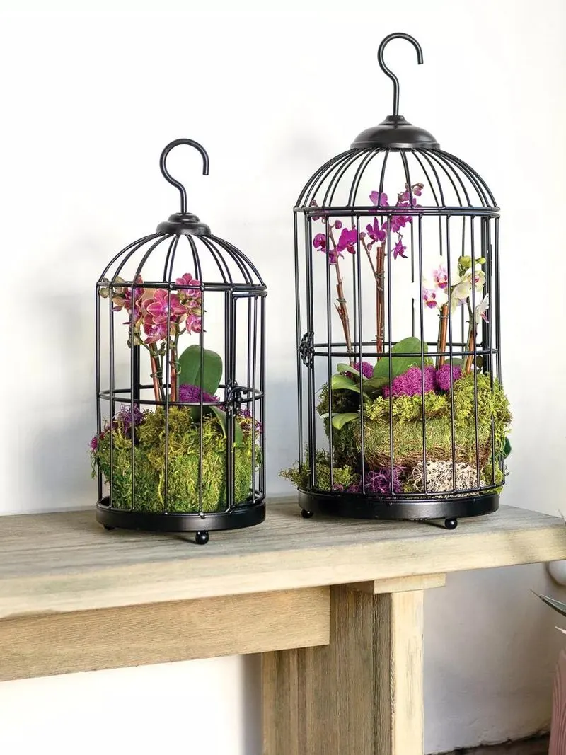 Birdcage Planters