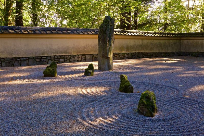 Zen Garden Stump
