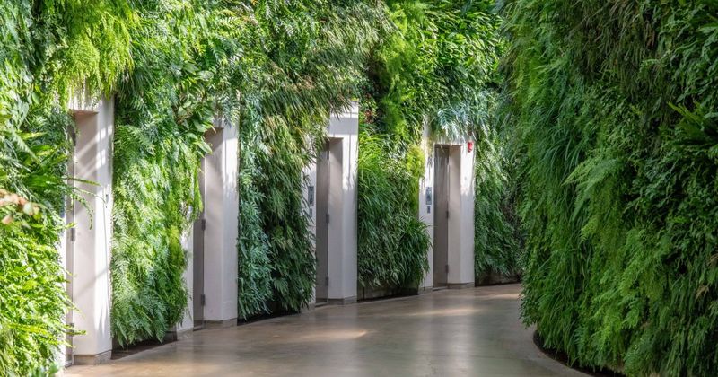 Living Wall with Integrated Irrigation