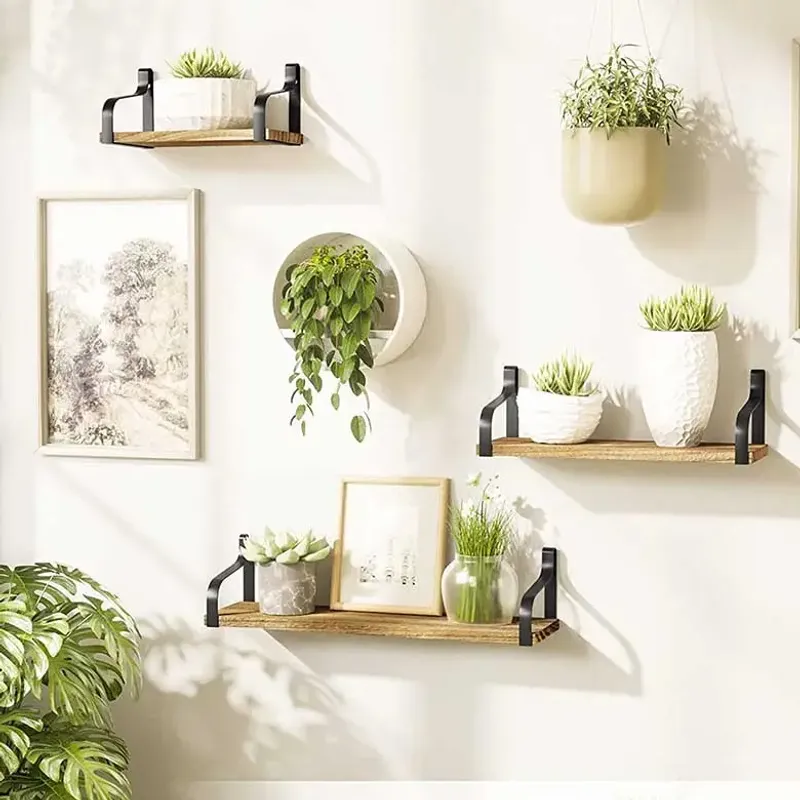 Floating Shelves with Plants