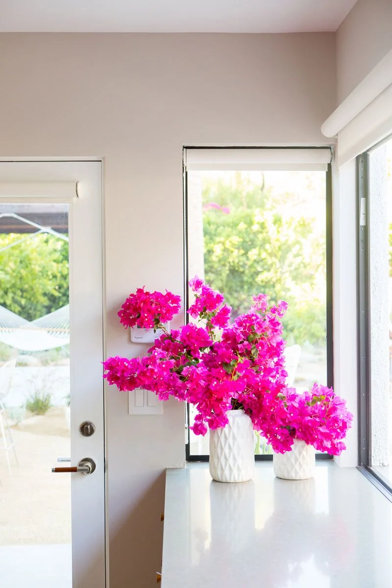 Bougainvillea