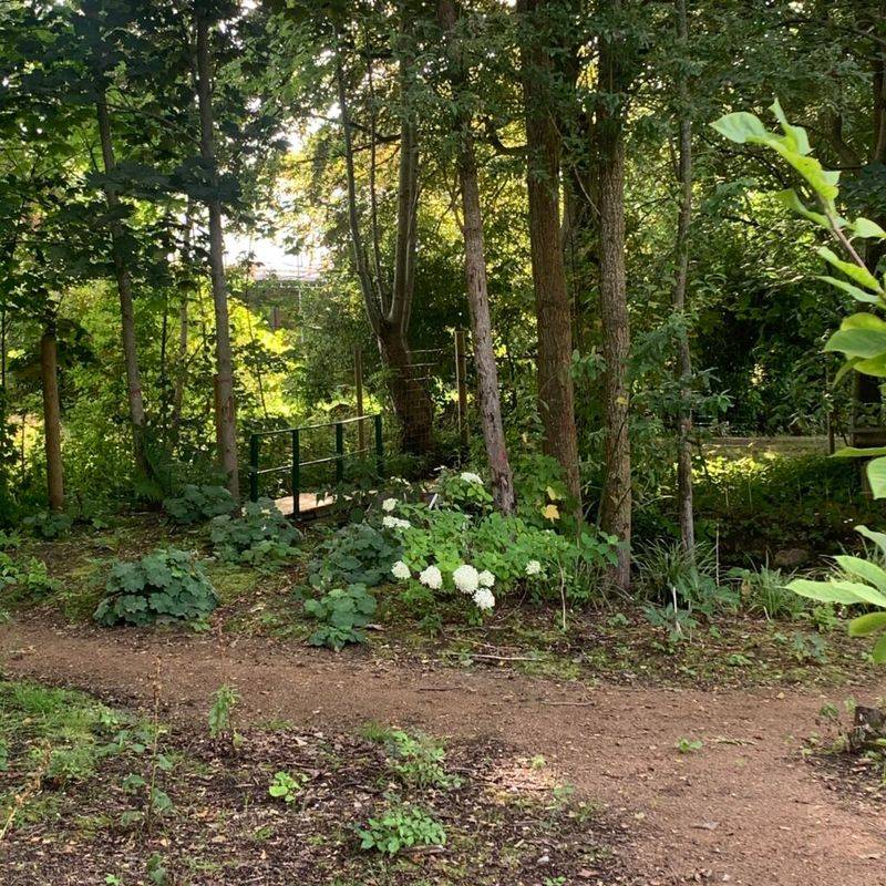 Enchanted Woodland Garden