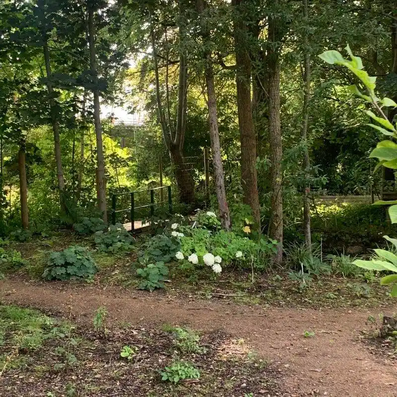 Enchanted Woodland Garden