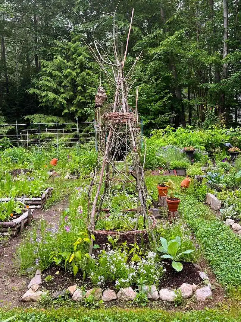 Branch Trellis