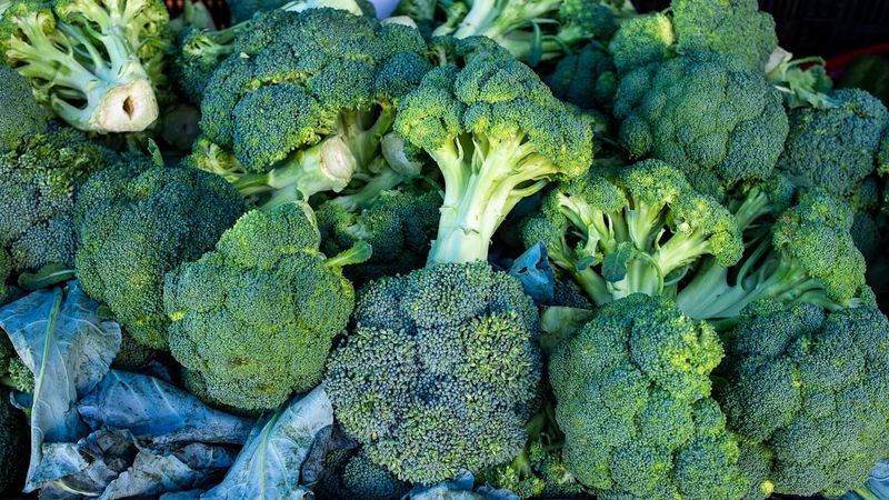 Broccoli (Struggle)