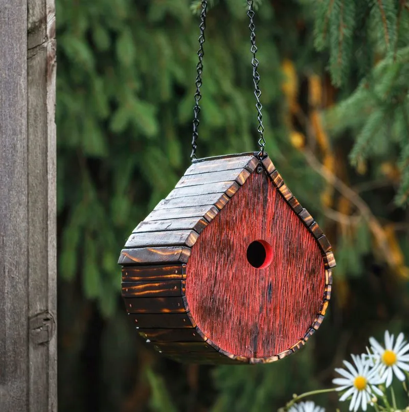 Build a Birdhouse