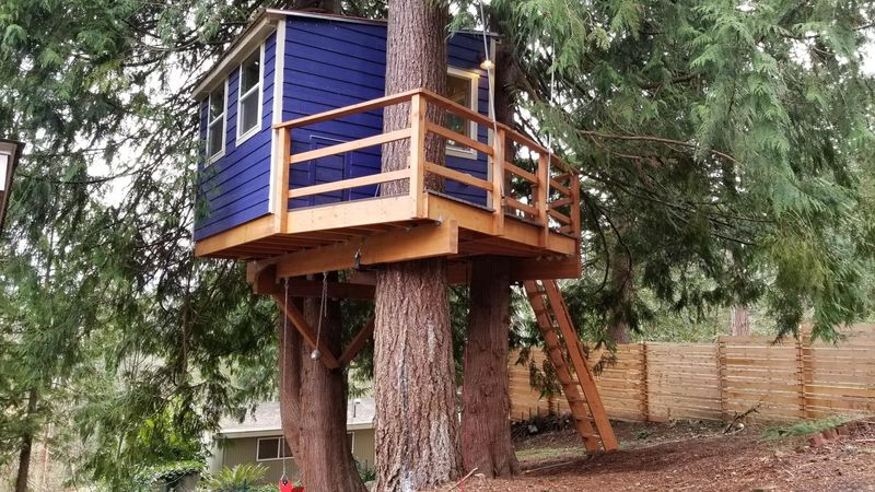 Build a Treehouse