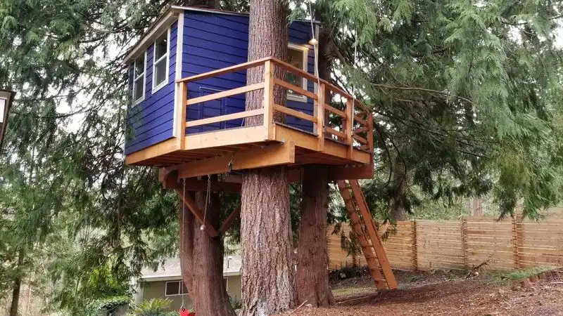 Build a Treehouse