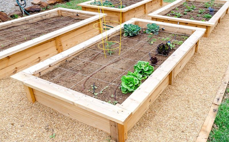 Building Raised Beds