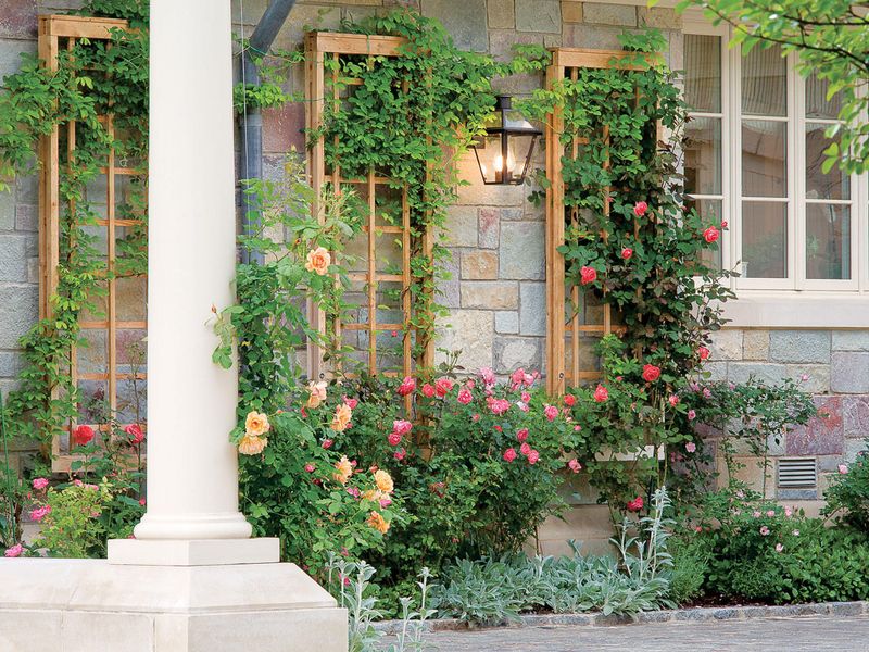 Building with Trellises