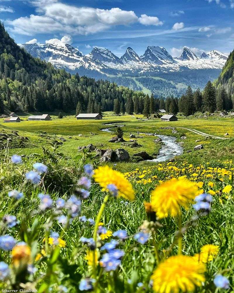 Alpine Meadows, Switzerland