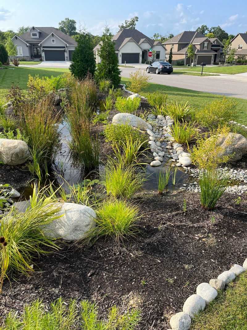 Rain Garden
