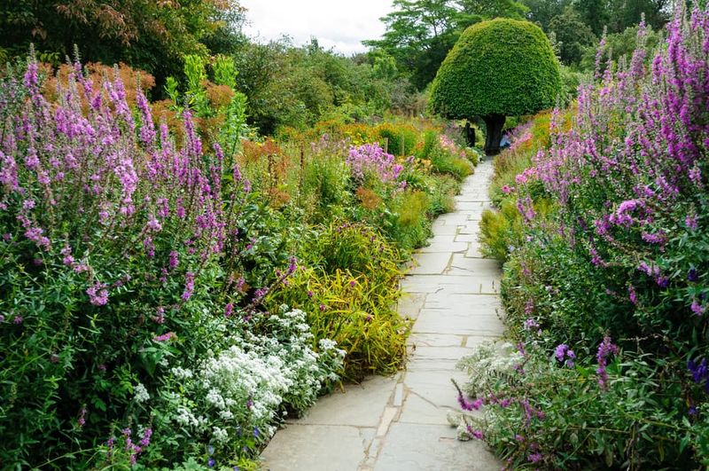 Perennial Border Garden