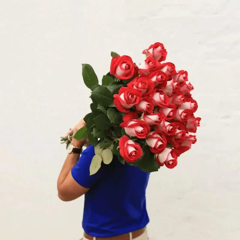 Perfect Gift Choice
