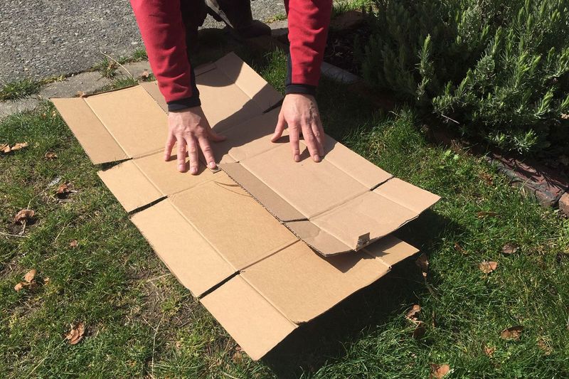 Cardboard Mulching