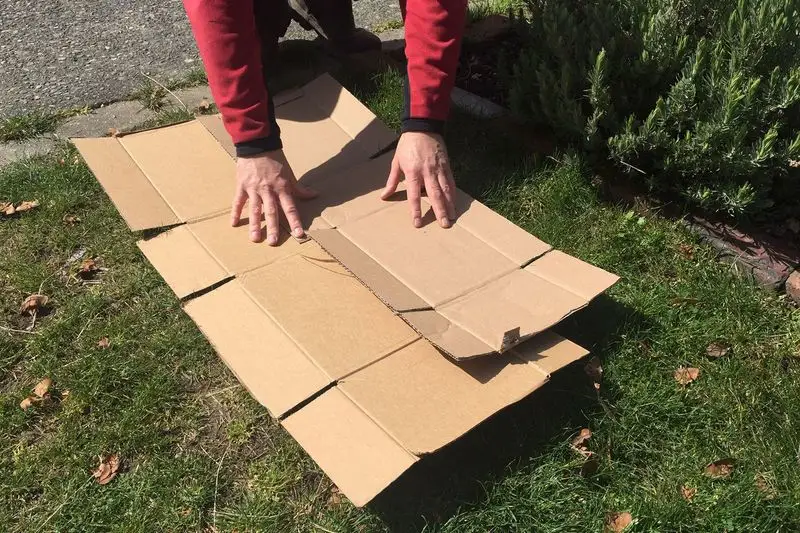 Cardboard Mulching