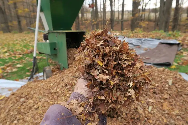 Shredded Leaves