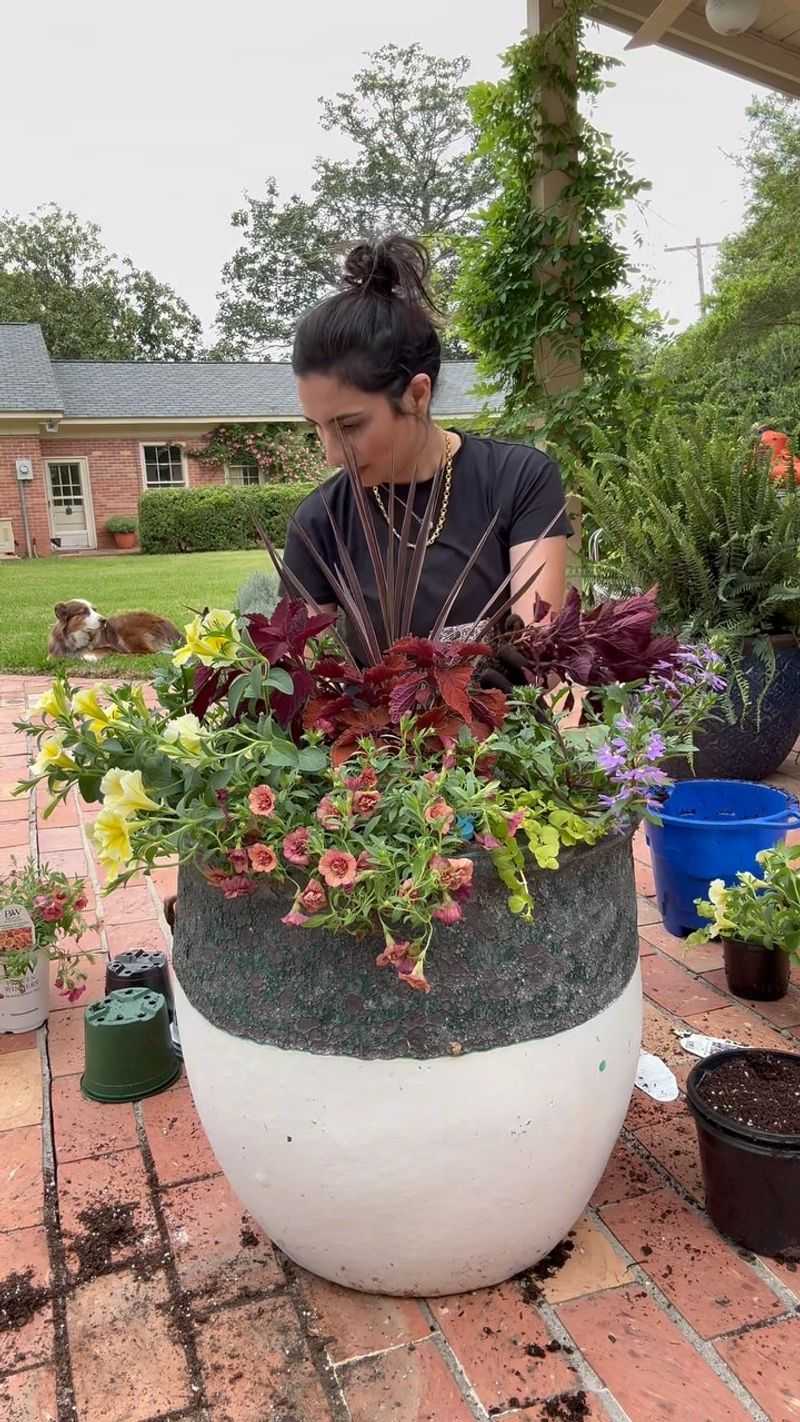 Caring for Container Plants