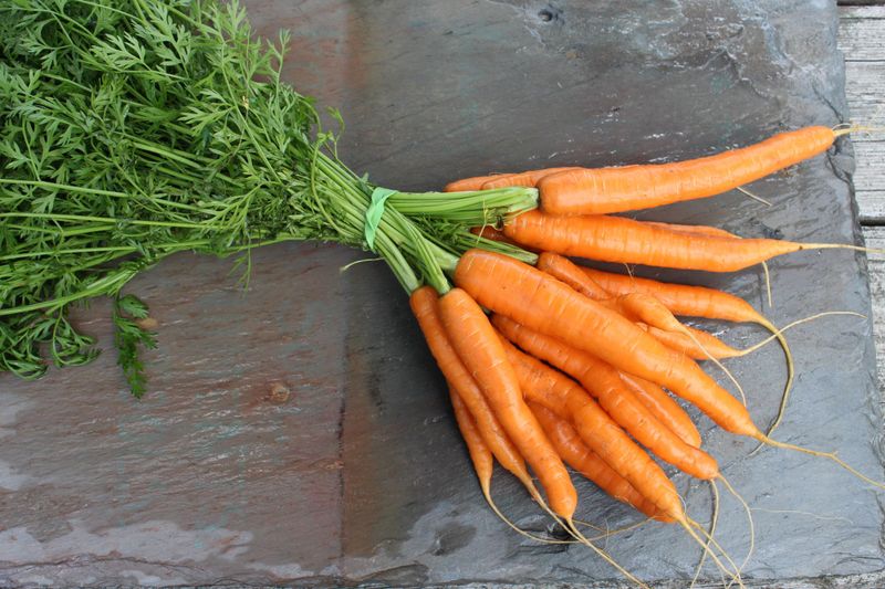Carrots