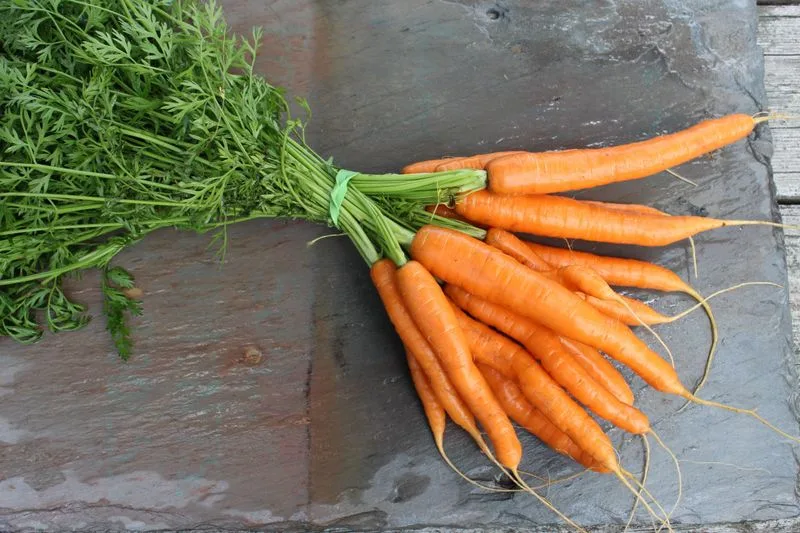 Carrots