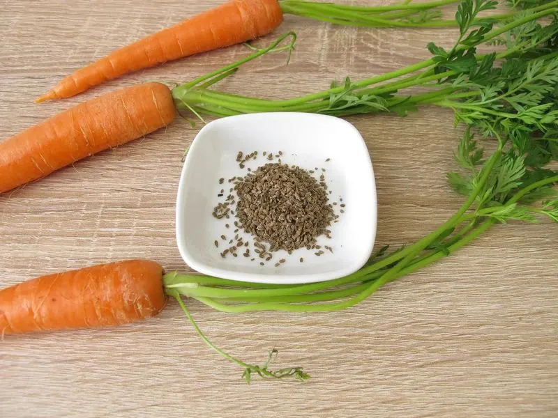 Carrots