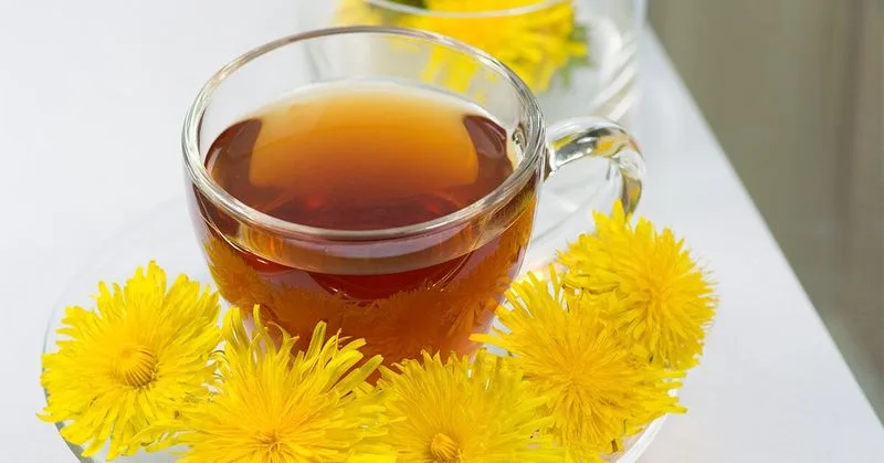 Dandelion
