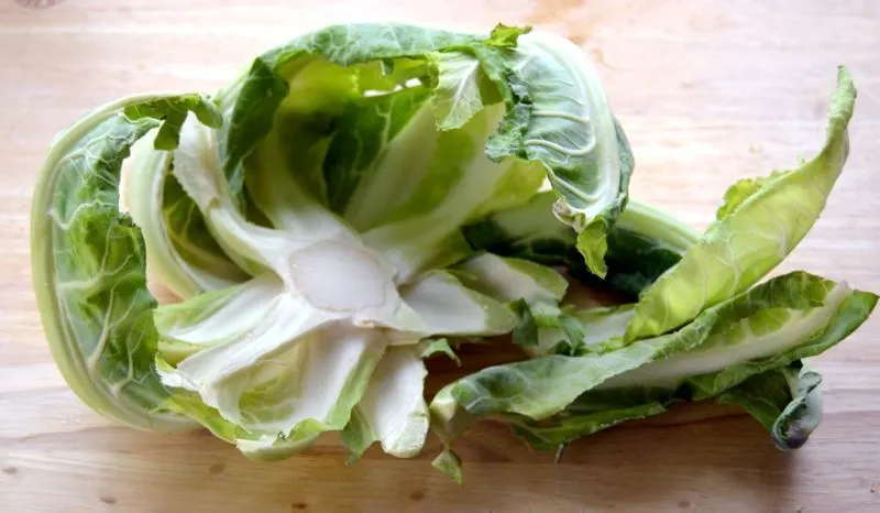Cauliflower Leaves