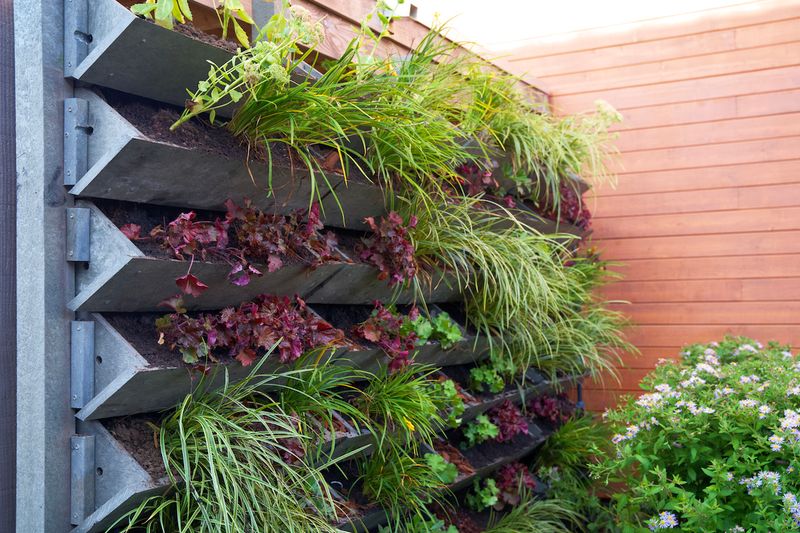 Vertical Garden Wall