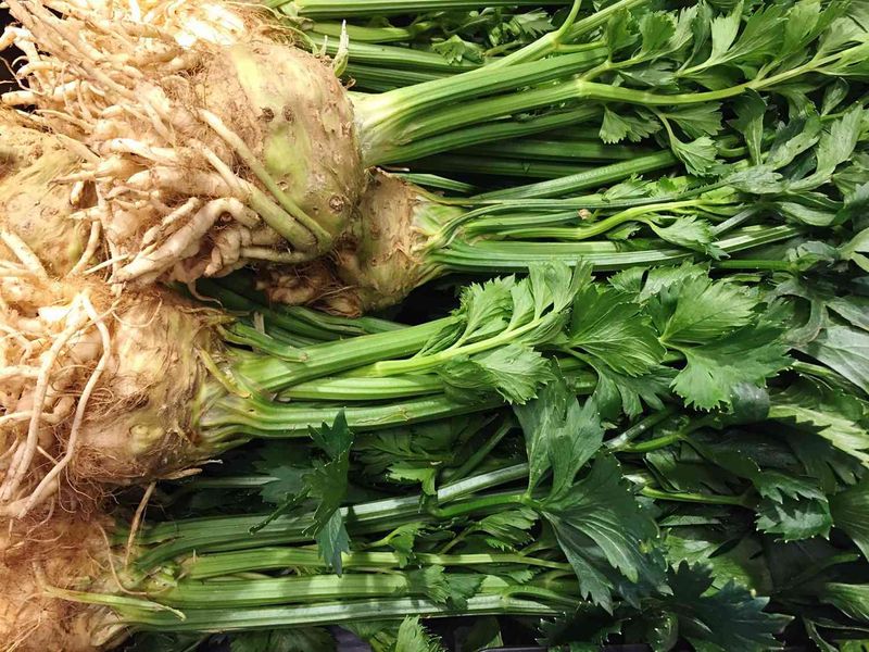 Celeriac