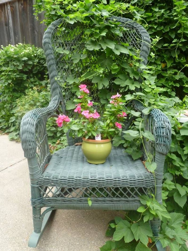 Chair Trellis
