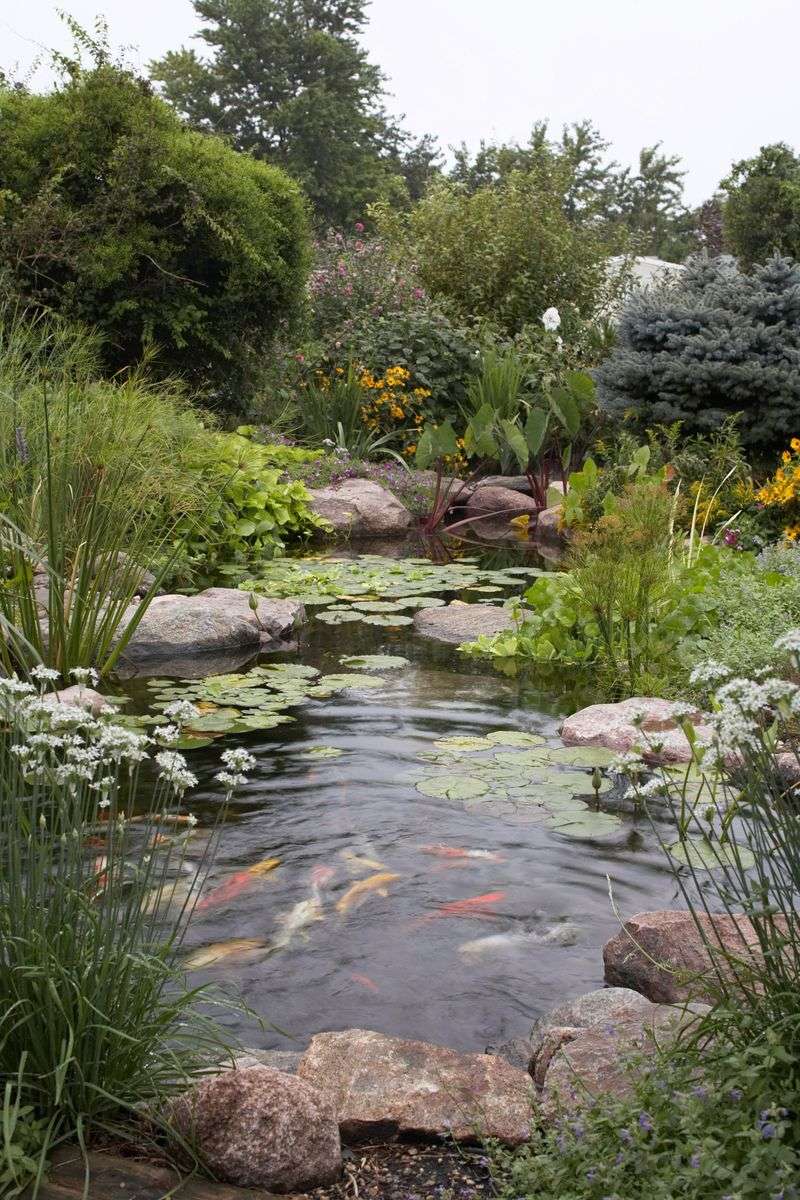 Wildlife-Friendly Features