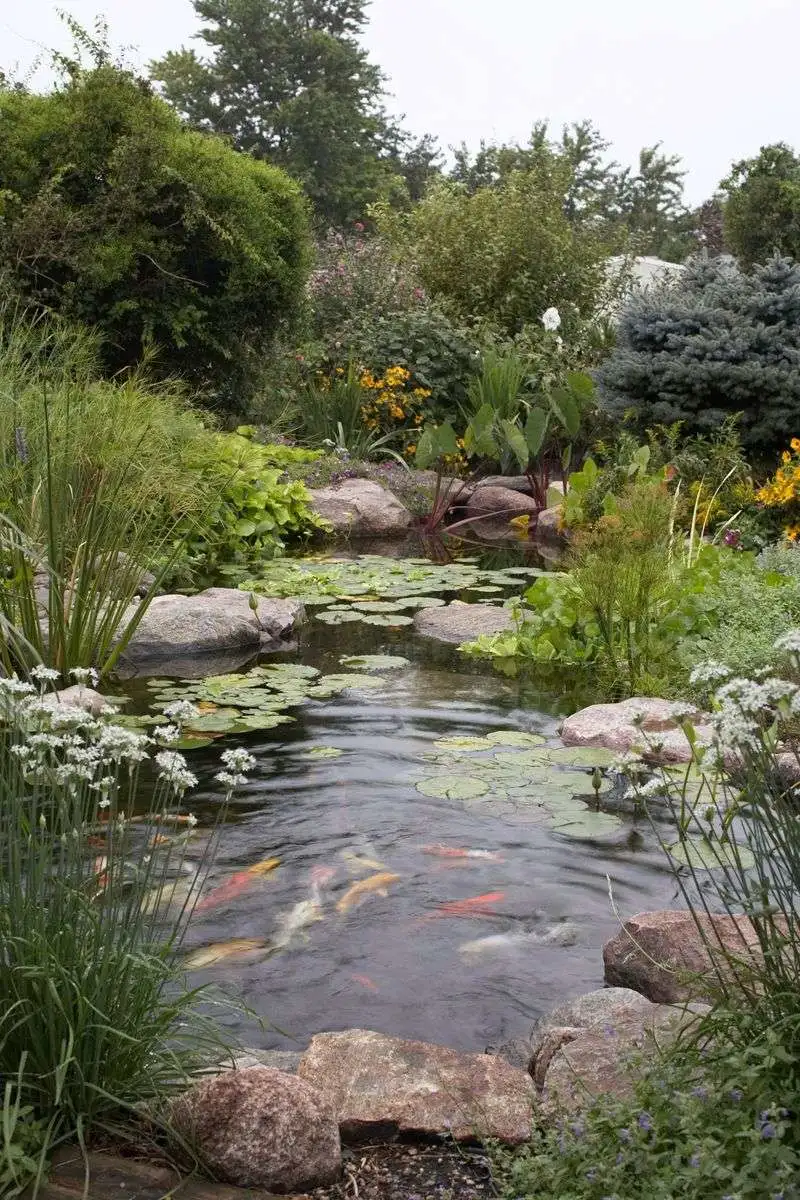 Wildlife-Friendly Features