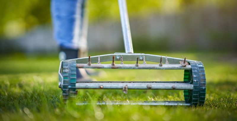 Aerate the Lawn