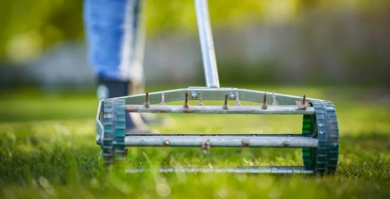 Aerate the Lawn