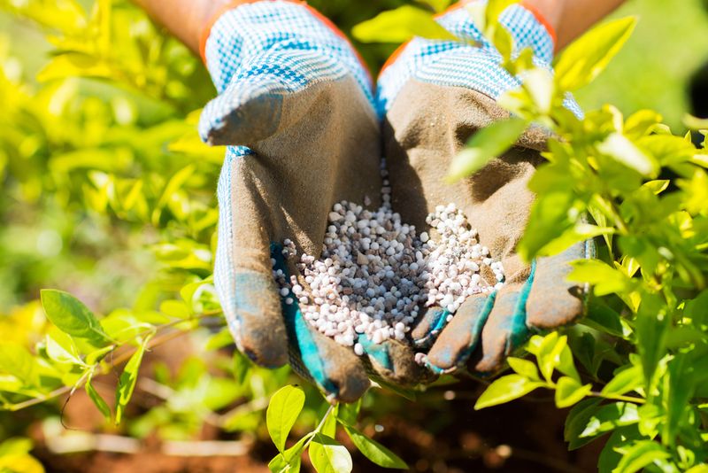 Chemical Fertilizers