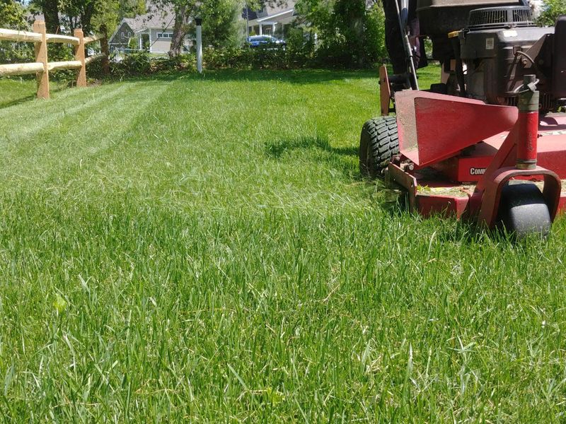 Mowing High