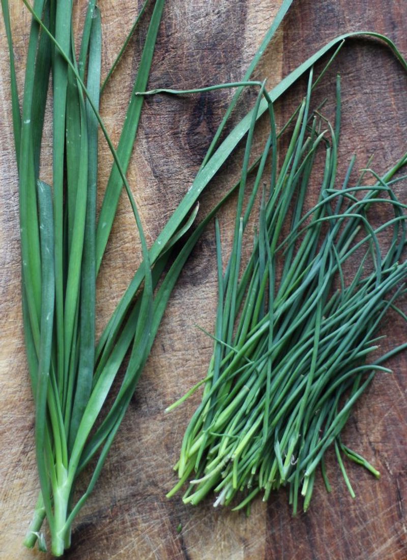 Chives