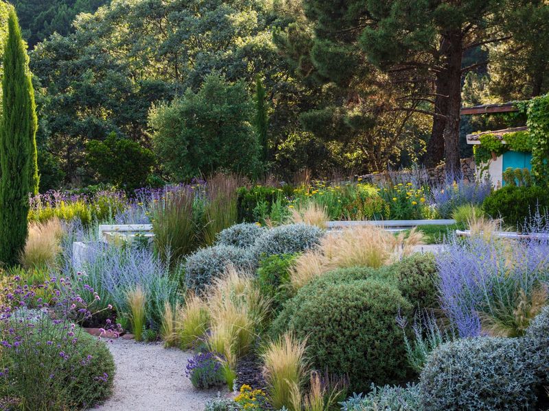 Choose Drought-Resistant Plants