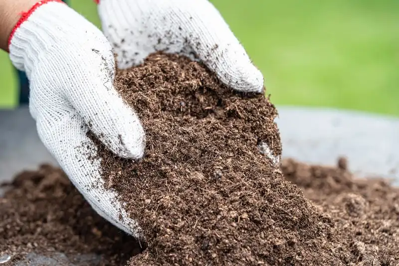 Soil Selection