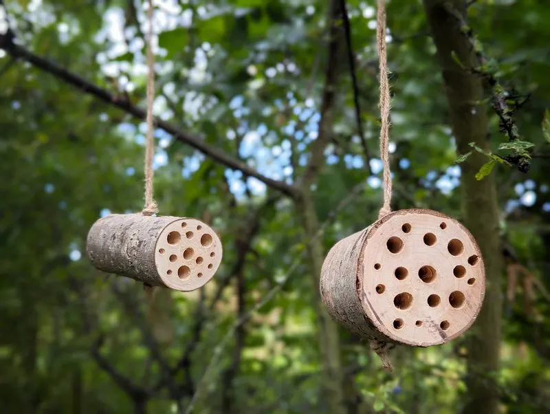 Opt for Natural Materials