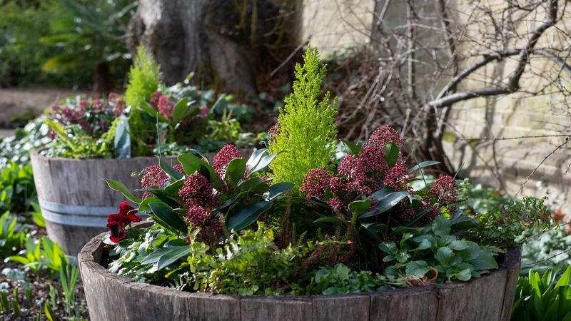 Neglecting Seasonal Changes