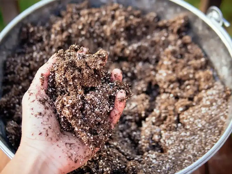 Ideal Soil Mix
