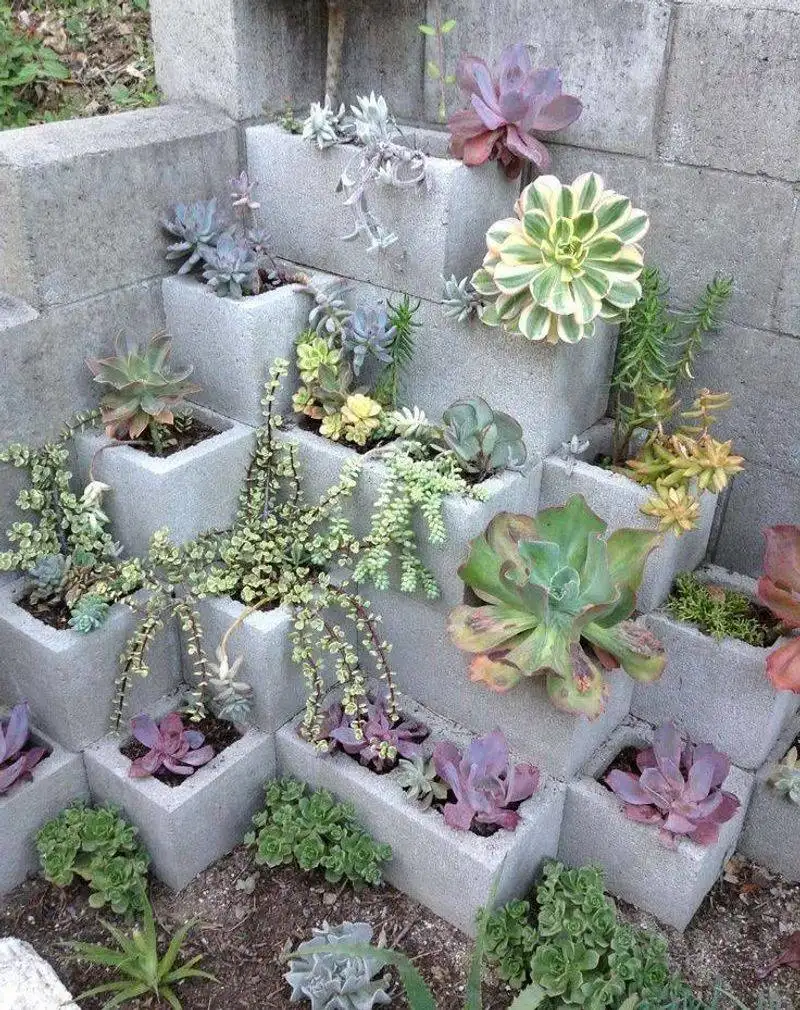 Cinder Block Garden