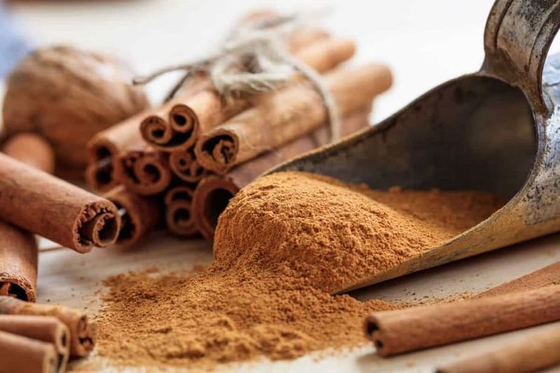 Cinnamon Barrier