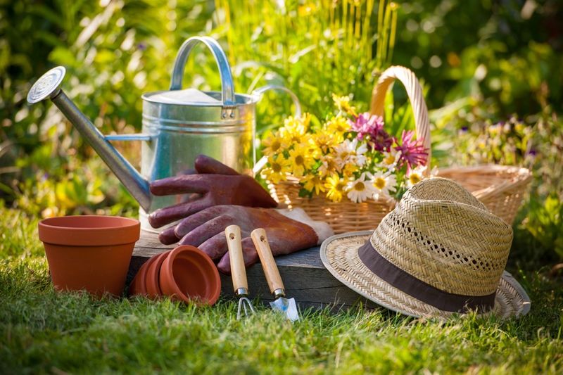 Cleaning Garden Tools