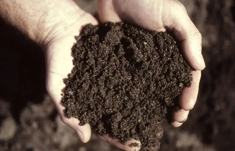 Soil Differences