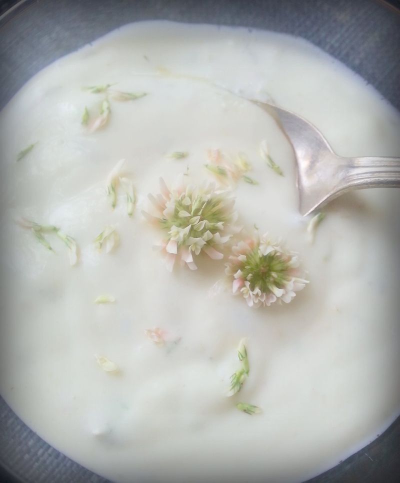 Clover in Cuisine