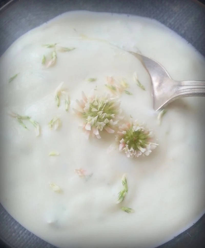 Clover in Cuisine