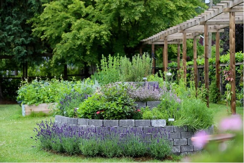 Spiral Herb Sanctuary