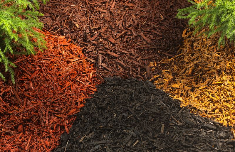 Dyed Mulch